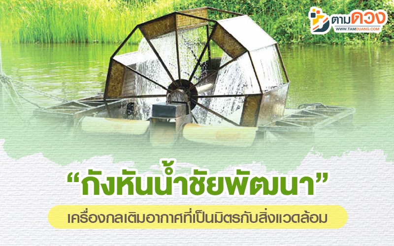 รัชกาลที่ 9