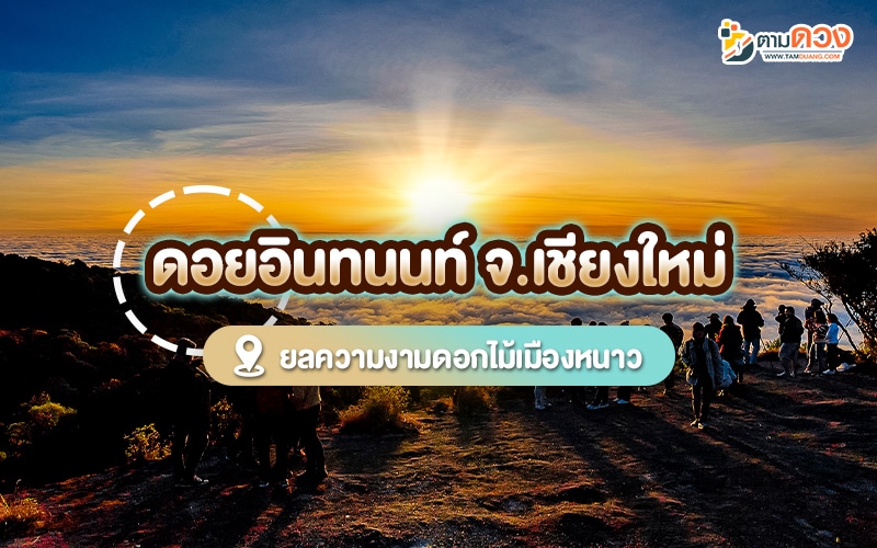 ปีใหม่เที่ยวไหนดี 2568