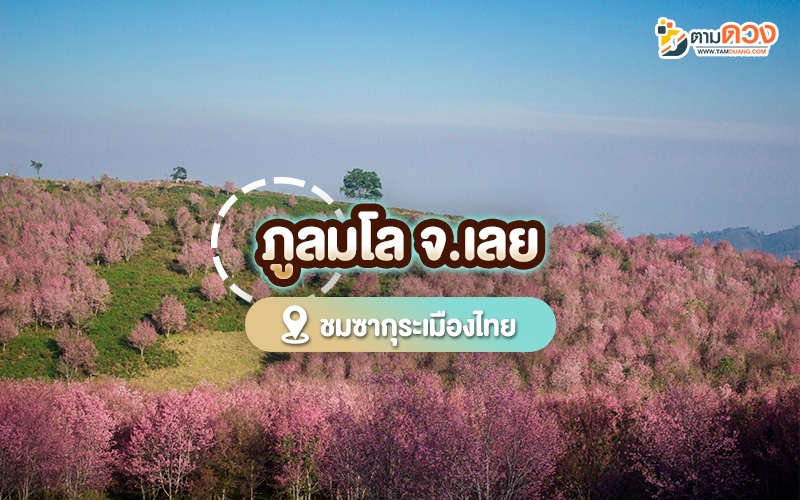 ปีใหม่เที่ยวไหนดี 2568