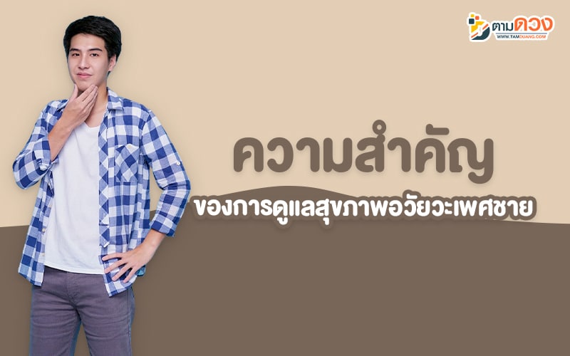 อวัยวะเพศชาย