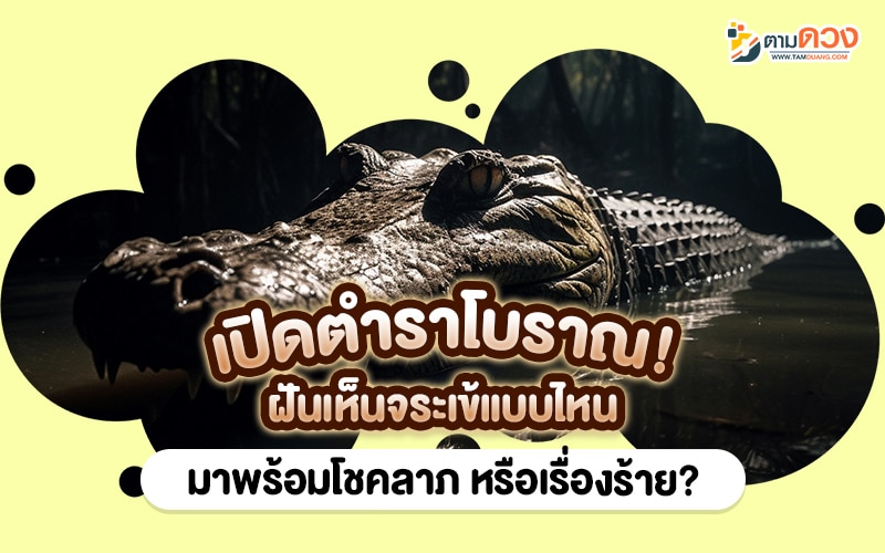 ฝันเห็นจระเข้